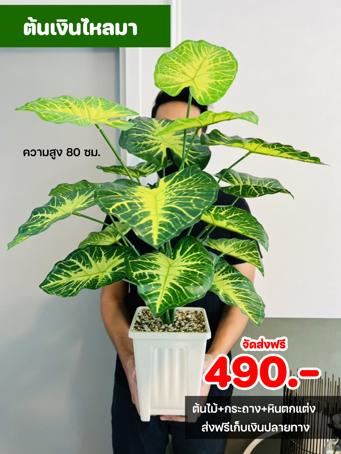 ต้นไม้ปลอม ขนาดความสูง 80 ซม. กระถางสี่เหลี่ยม พร้อมหินตกแต่ง