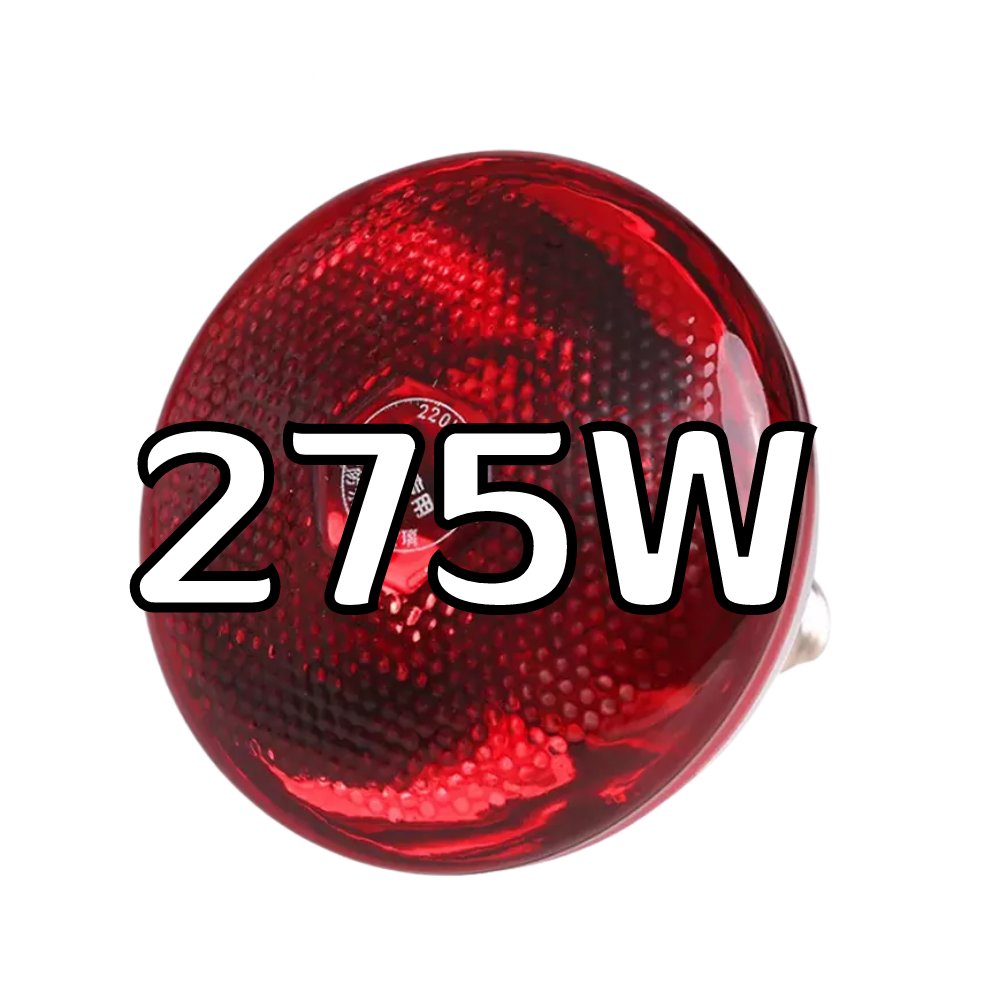 หลอดไฟอินฟาเรด E27 แก้วหนา สีแดง หลอดไฟ ให้ความอบอุ่นสัตว์เล็ก กกไก่ หมู ( ขนาด 100/150/175/250/275W )