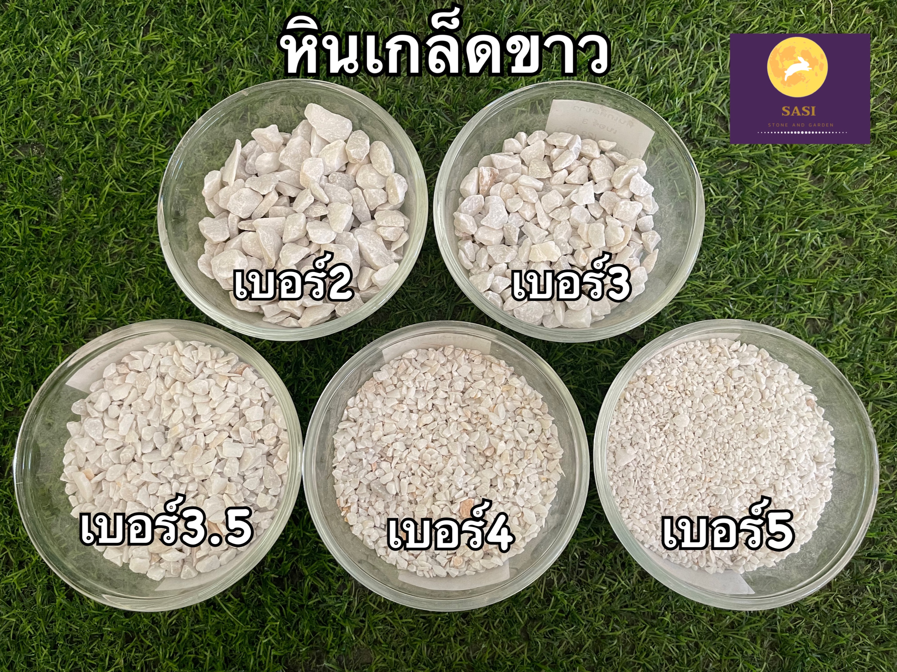 หินเกล็ดขาว