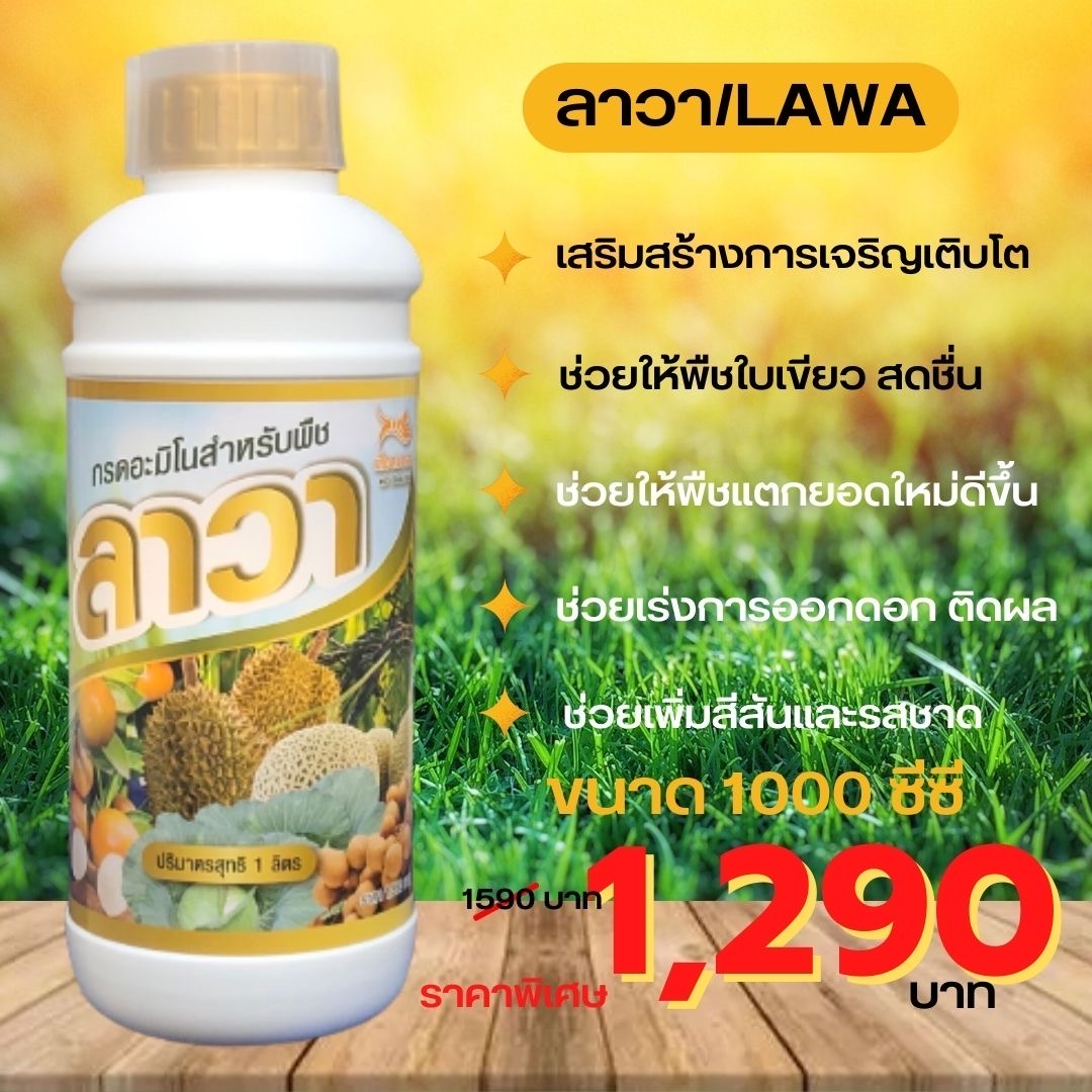 ปุ๋ยลาวา(LAWA)1 ขวด 1,000 cc. เร่งจริญเติบโตให้กับพืช เร่งใบเขียวเข้มและช่วยเพิ่มการติดดอก ออกผลเพิ่มการแตกยอดได้ดี