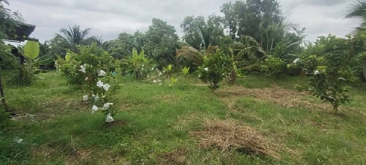 ขายที่ดิน 289 ตร.วา เมืองฉะเชิงเทรา | ใกล้วัดสมาน–วัดโสธร | เจ้าของขายเอง