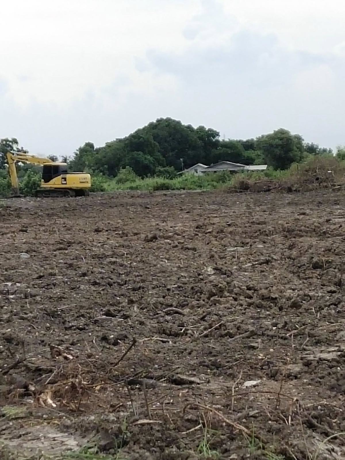 ขายที่ดิน บ้านโพธิ์ 3 ไร่ 1 งาน 59 ตรว. | ใกล้สนามกอล์ฟบางปะกงริเวอร์ไซด์ | เจ้าของขายเอง