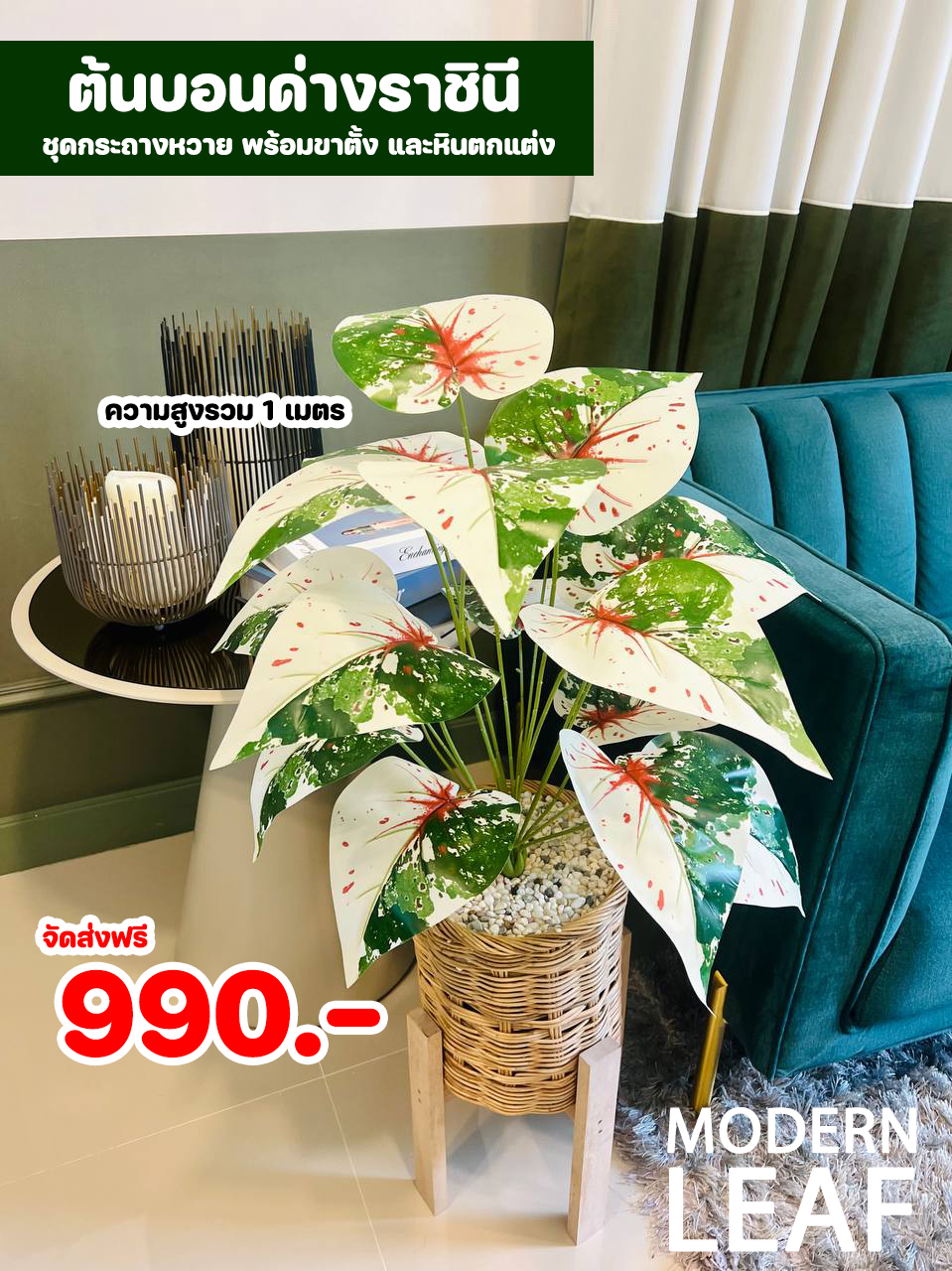 ต้นบอนด่างราชินีปลอม ความสูง 1 เมตร ชุดกระถางหวาย พร้อมขาตั้ง