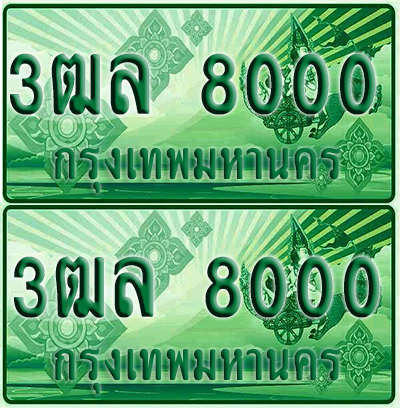 ป้ายประมูล 8000 เลขรถ 3ฒล 8000 กระบะแคป (4)