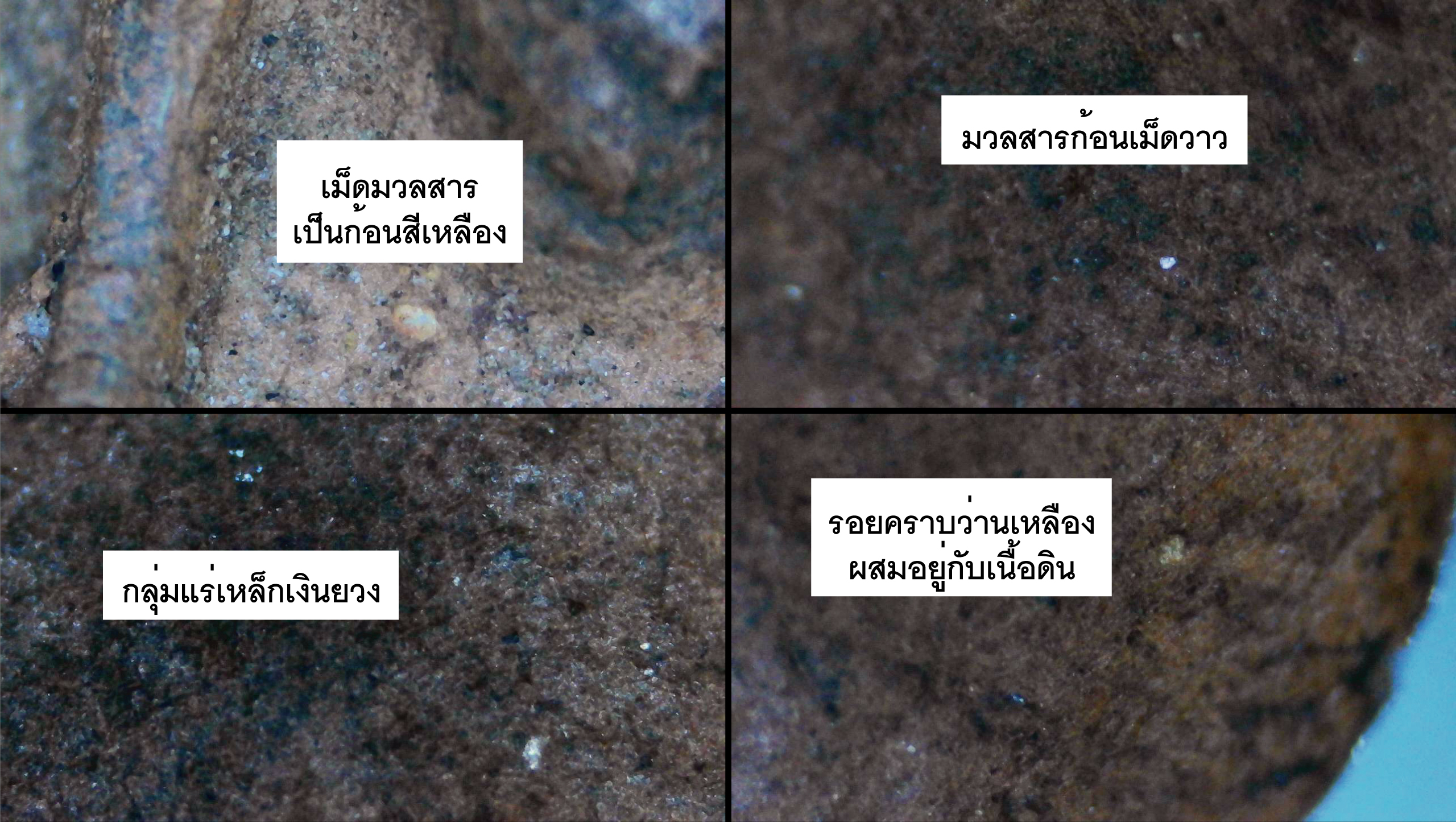 พระเนื้อดินยุคแรกพิมพ์พระคง หลวงพ่อกวย วัดโฆสิตาราม พิมพ์เล็ก ช่วงปี 2500