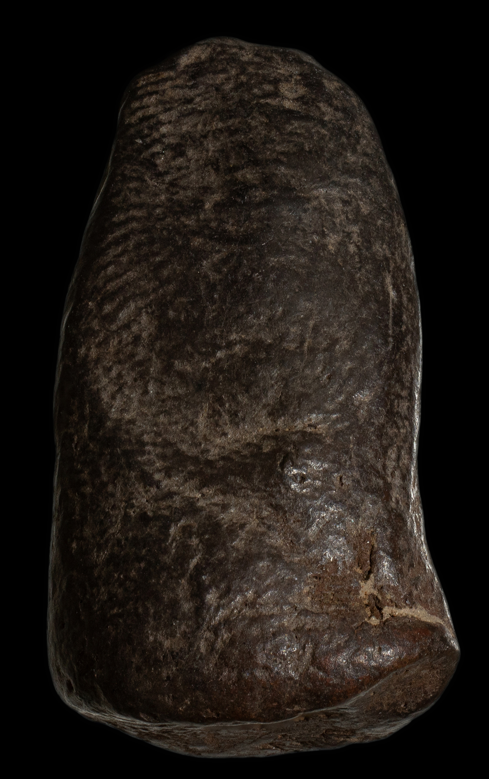 พระรอดพิมพ์เขี้ยวงู เนื้อใบลานผสมว่าน หลวงพ่อกวย วัดโฆสิตาราม ชัยนาท