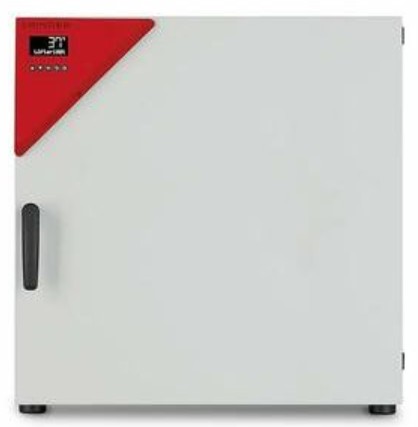 ตู้บ่มเพาะเชื้อ (series BD), รุ่น BD 260, Incubators with natural convection, ยี่ห้อ BINDER