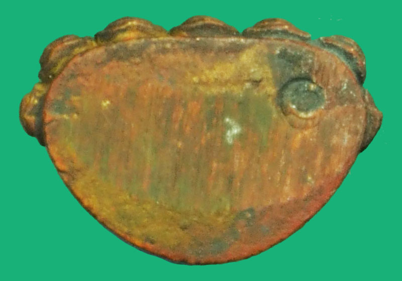 ขายแล้ว*37292 พระชัยวัฒน์ ตั้กม้อ วัดกวงซิ่ว หลังหนังสือจีน 7