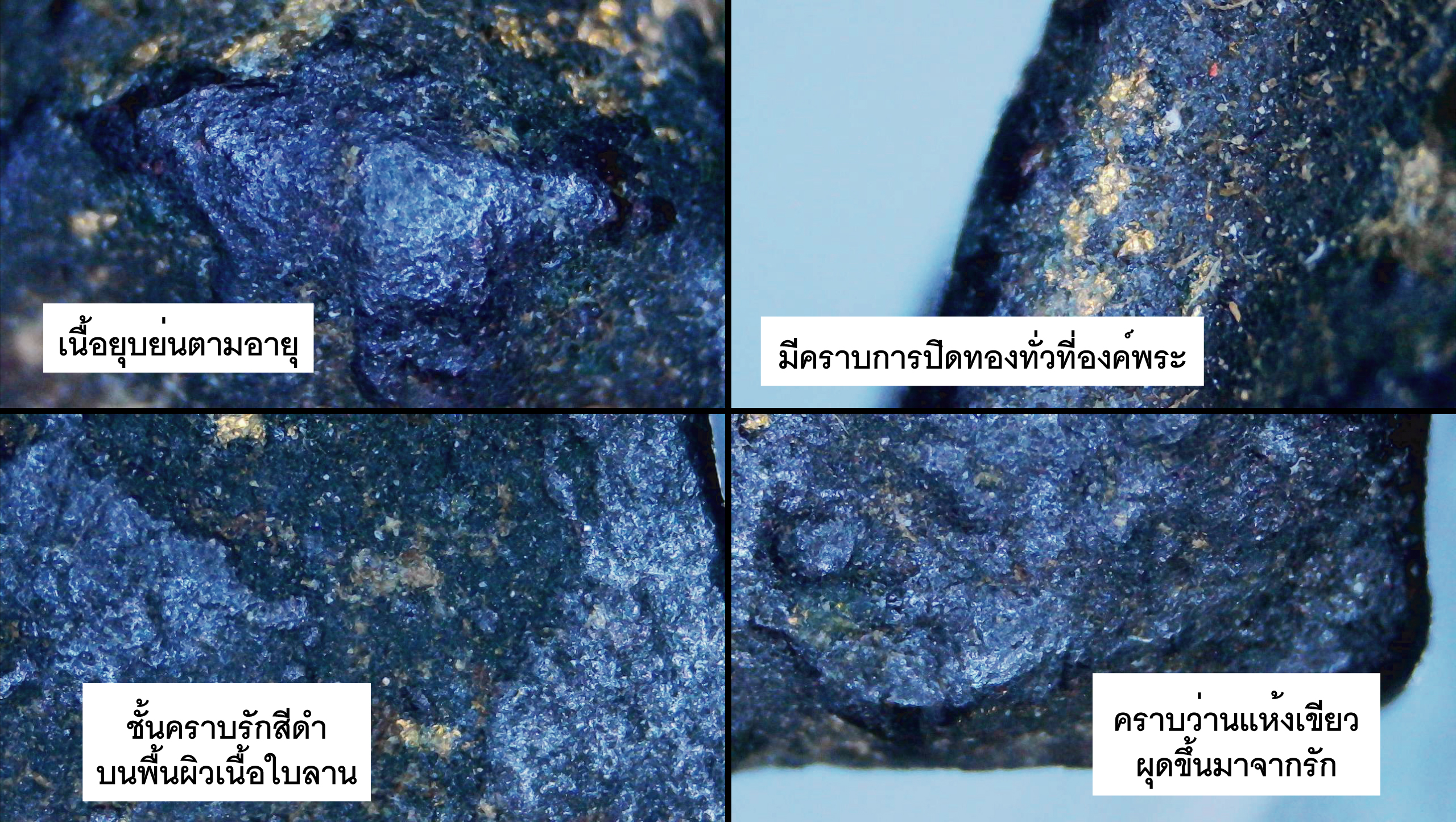 นางพญา พิมพ์จิ๋ว วัดประสาท ปี 2506 เนื้อผงใบลานปิดทอง