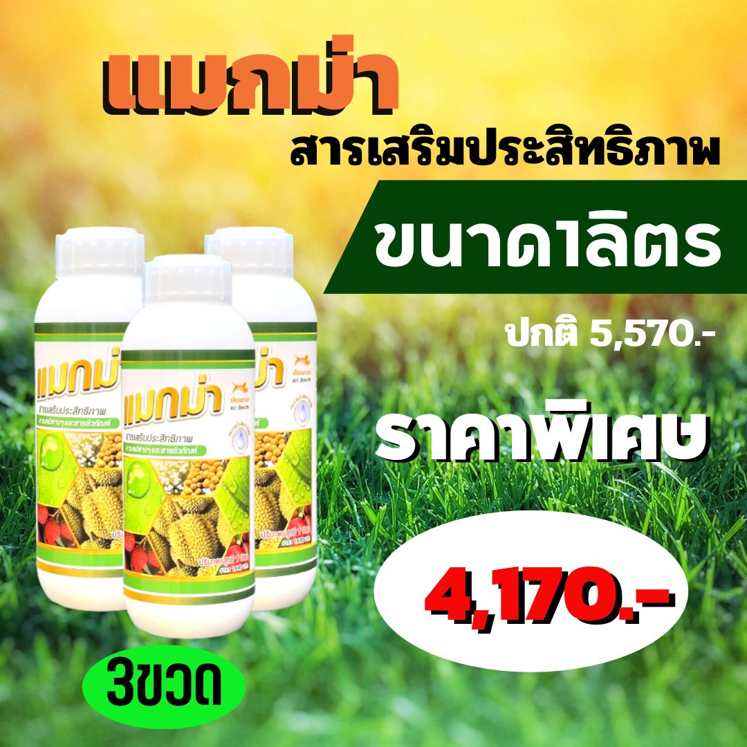 สารเสริมประสิทธิภาพ แมกม่า maxma 1ลิตร 3ขวด
