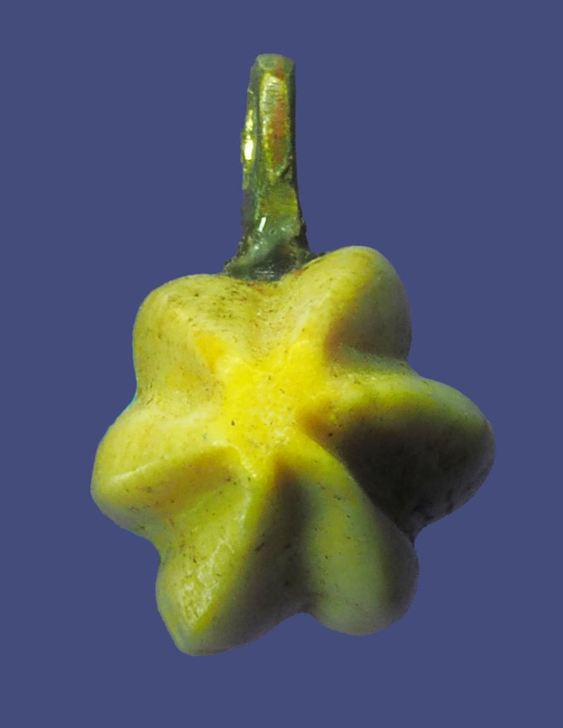 ขายแล้ว*39807 เครื่องราง เม็ดมะเฟื่องเเห้ง แกะเก่า ห่วงทองเหลืองทำมือ ไม่ทราบที่และปีสร้าง 12