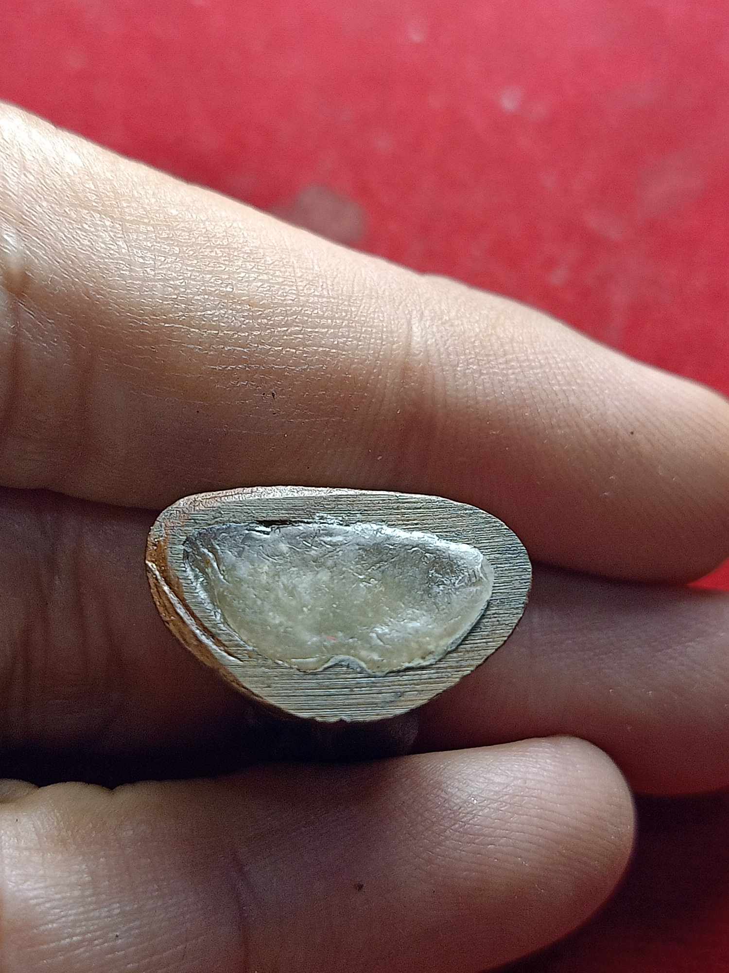 พระกริ่งหลวงปู่คำพันธ์ วัดธาตุมหาชัย จ.นครพนม (SKU-04729)