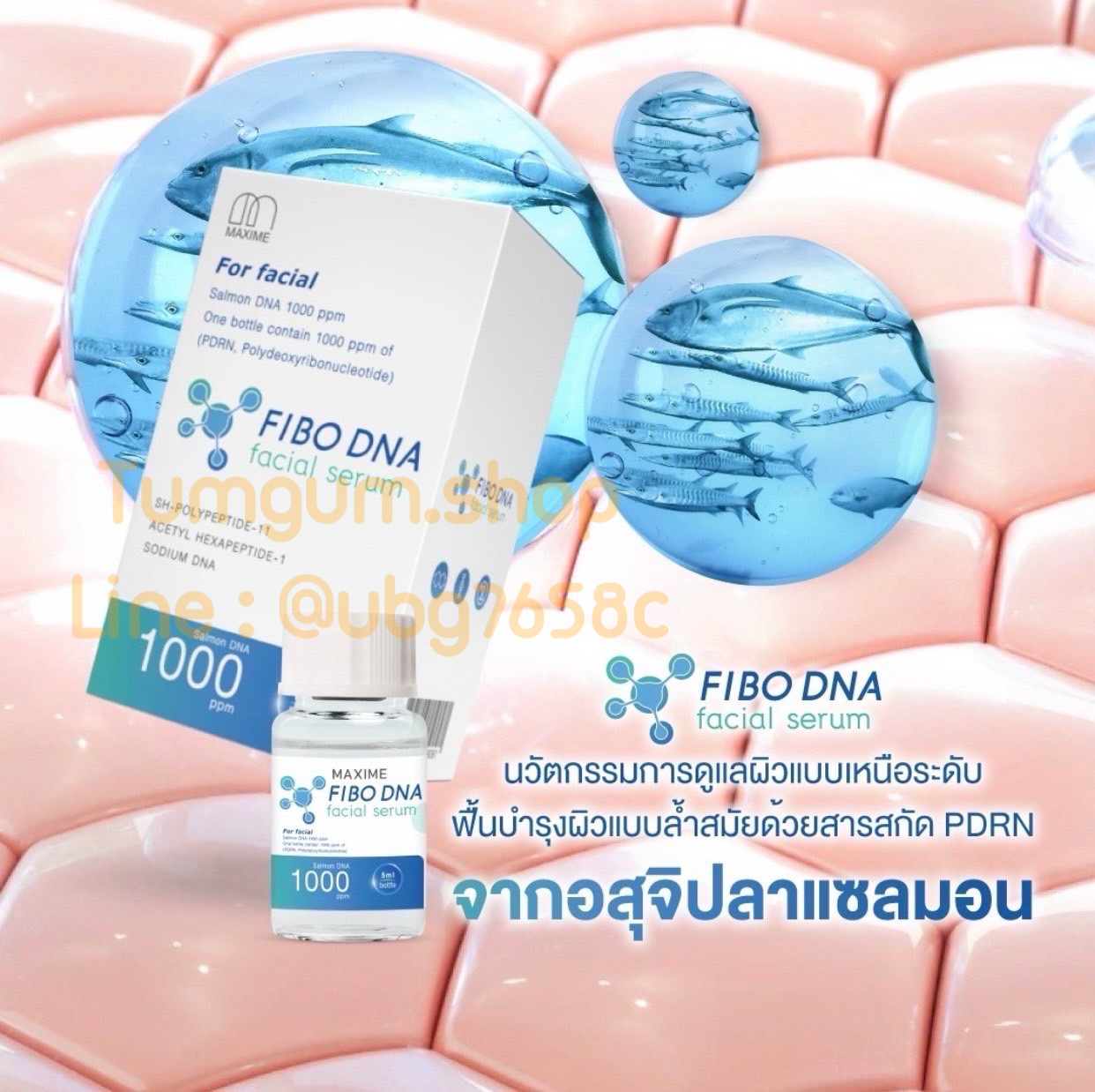 เมโสหน้าใส Maxime FIBO DNA ผิวฉ่ำวาว เนียนใส อย.ไทย 1 กล่อง 1 ขวด
