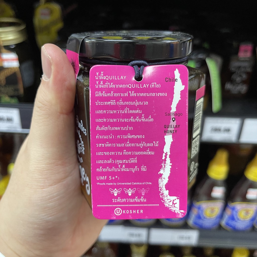 เทรร่า แอนดีส น้ำผึ้ง จากประเทศชิลี 400 กรัม Terra Andes Natural & Healthy Chile Honey 400 g.
