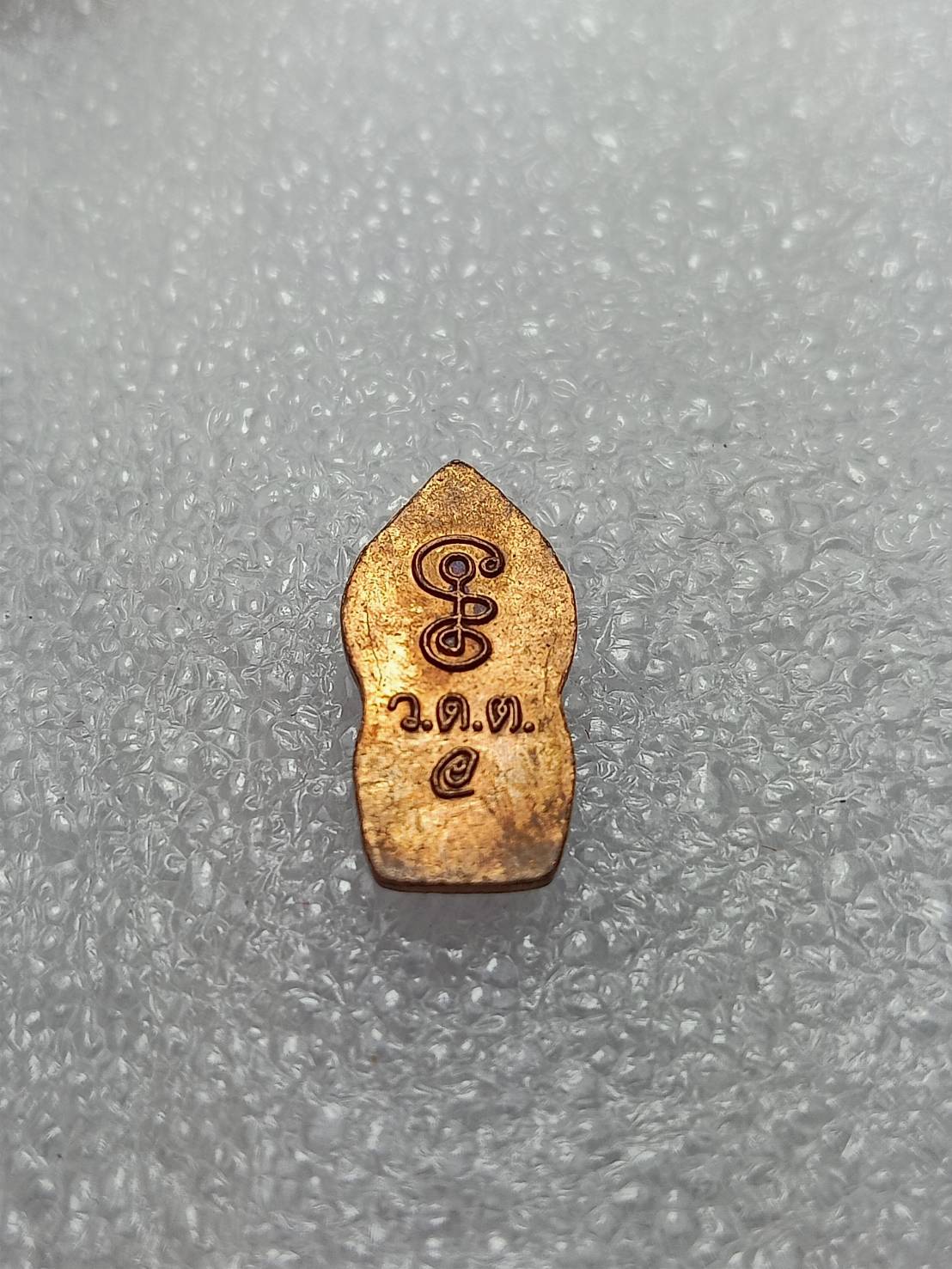 เหรียญพระนาคปรก หลวงพ่อเอื้อน วัดวังแดงใต้ จ.อยุธยา (SKU-09721)