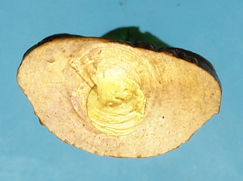 *27866 พระรูปหล่่อหลวงปู่เทียน วัดโบสถ์ ปี 2514 ปทุมธานี 46