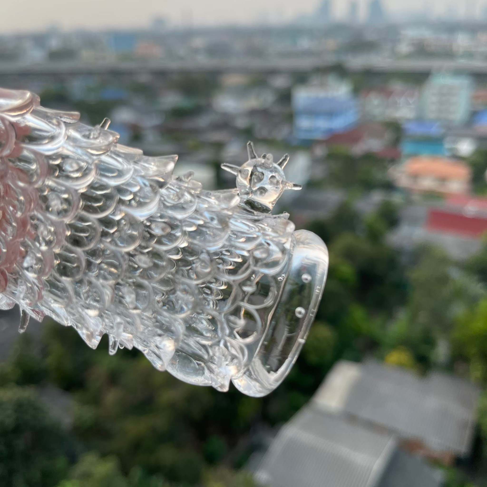 ปลอกเกร็ดมังกร