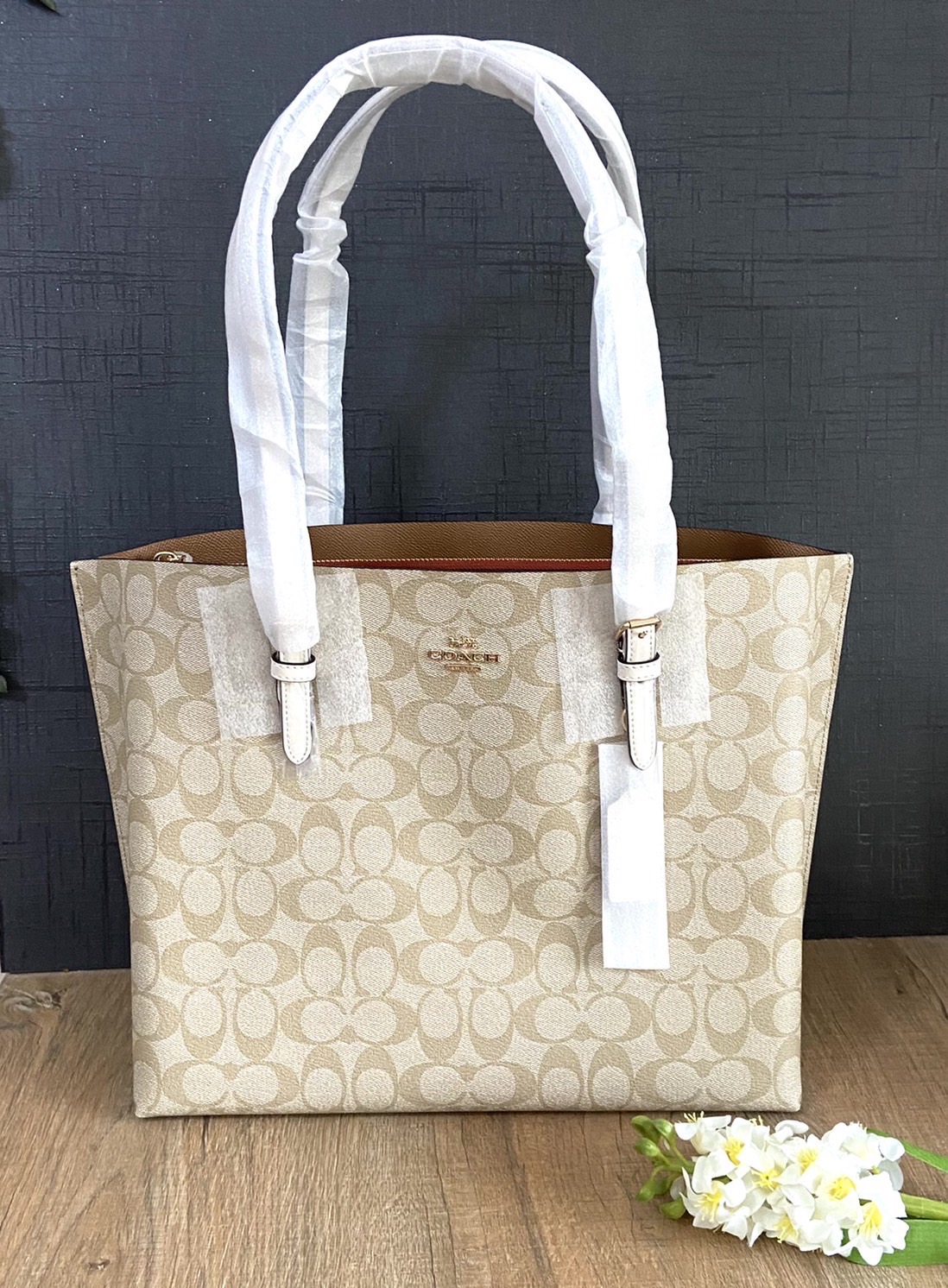 COACH MOLLIE TOTE IN SIGNATURE CANVAS