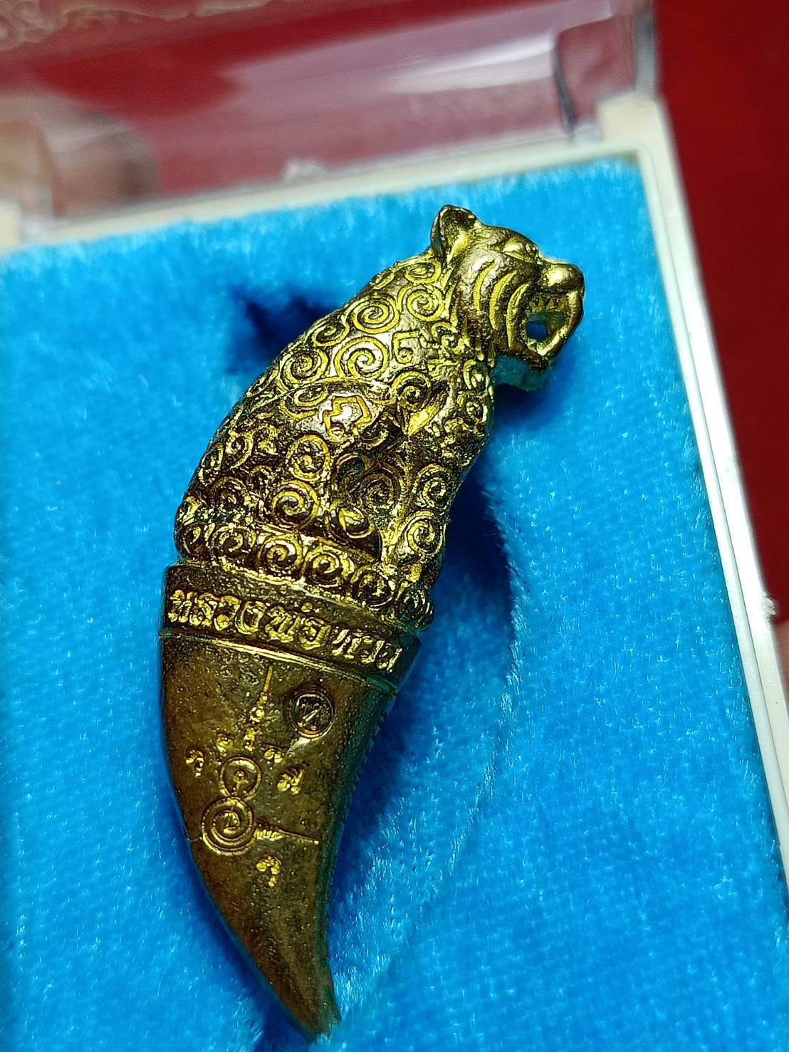 เขี้ยวเสือพุทธาคม หลวงพ่อหวล วัดชาวเหนือ จ.ราชบุรี ปี 2558 พร้อมกล่อง (SKU-10950)