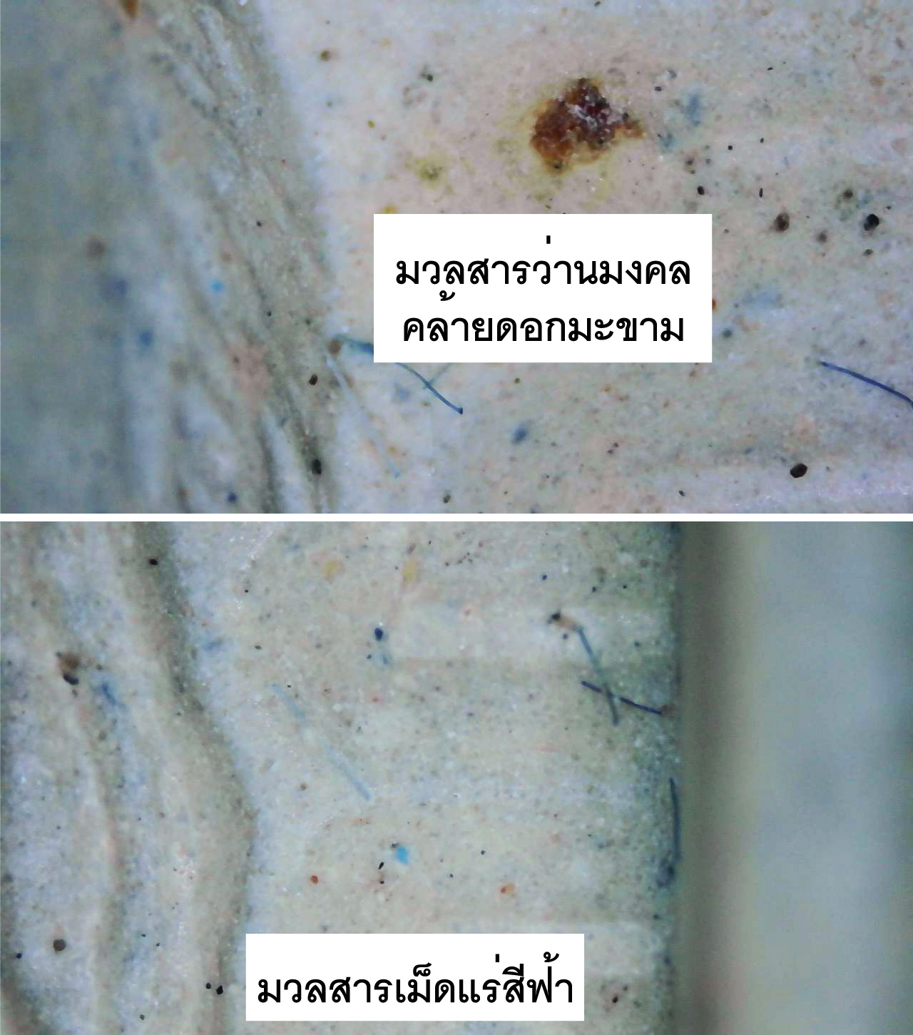 พระผงหลวงพ่อสดวัดปากน้ำ ด้านหลังสมเด็จพระพุฒาจารย์โต งานถวายผ้ากฐิน ที่วัดร้อยไร่ พระนครศรีอยุธยา ปี 2545 พร้อมตลับจากวัด