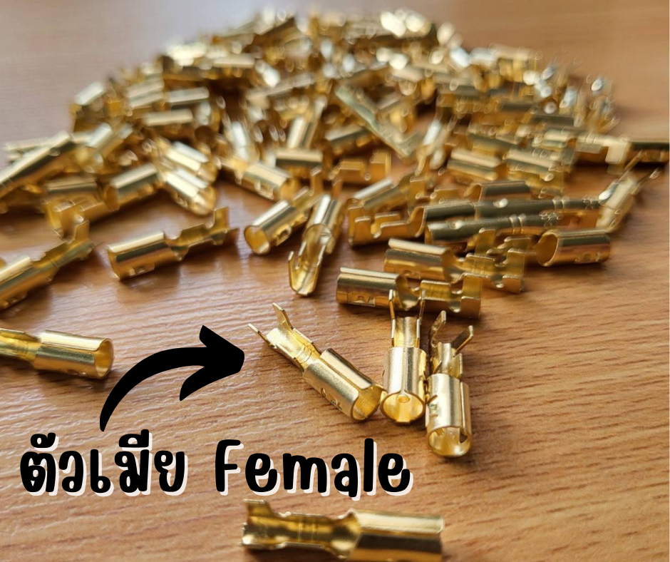 หางปลาทองเหลือง กลม 4 มม. ตัวเมีย/ตัวผู้ [10ชิ้น/แพ็ค]