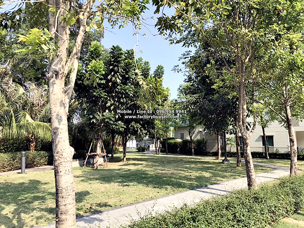 ปล่อยเช่า ม.ลุมพินีทาวน์ เพิ่มสิน-วัชรพล 3 นอน 2 น้ำ จอดรถในร่ม 2 คัน
