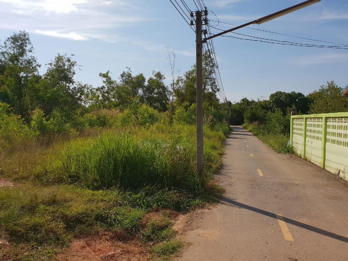 ขายที่ดิน พนมสารคาม 734 ตร.วา | เจ้าของขายเอง ฟรีโอน ฉะเชิงเทรา