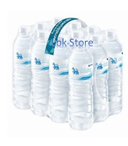 น้ำดื่ม 600ml. สิงห์ (แพ็ค12ขวด)