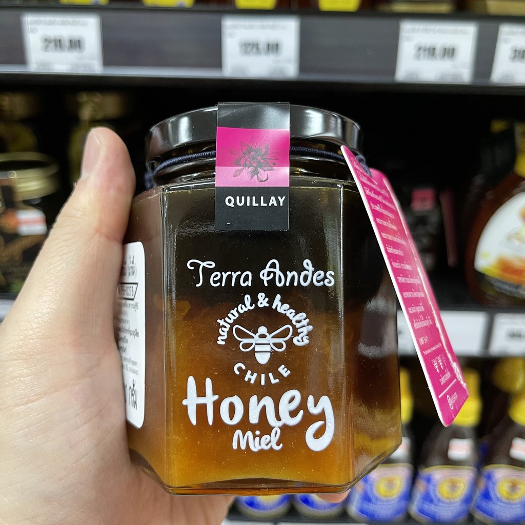 เทรร่า แอนดีส น้ำผึ้ง จากประเทศชิลี 400 กรัม Terra Andes Natural & Healthy Chile Honey 400 g.