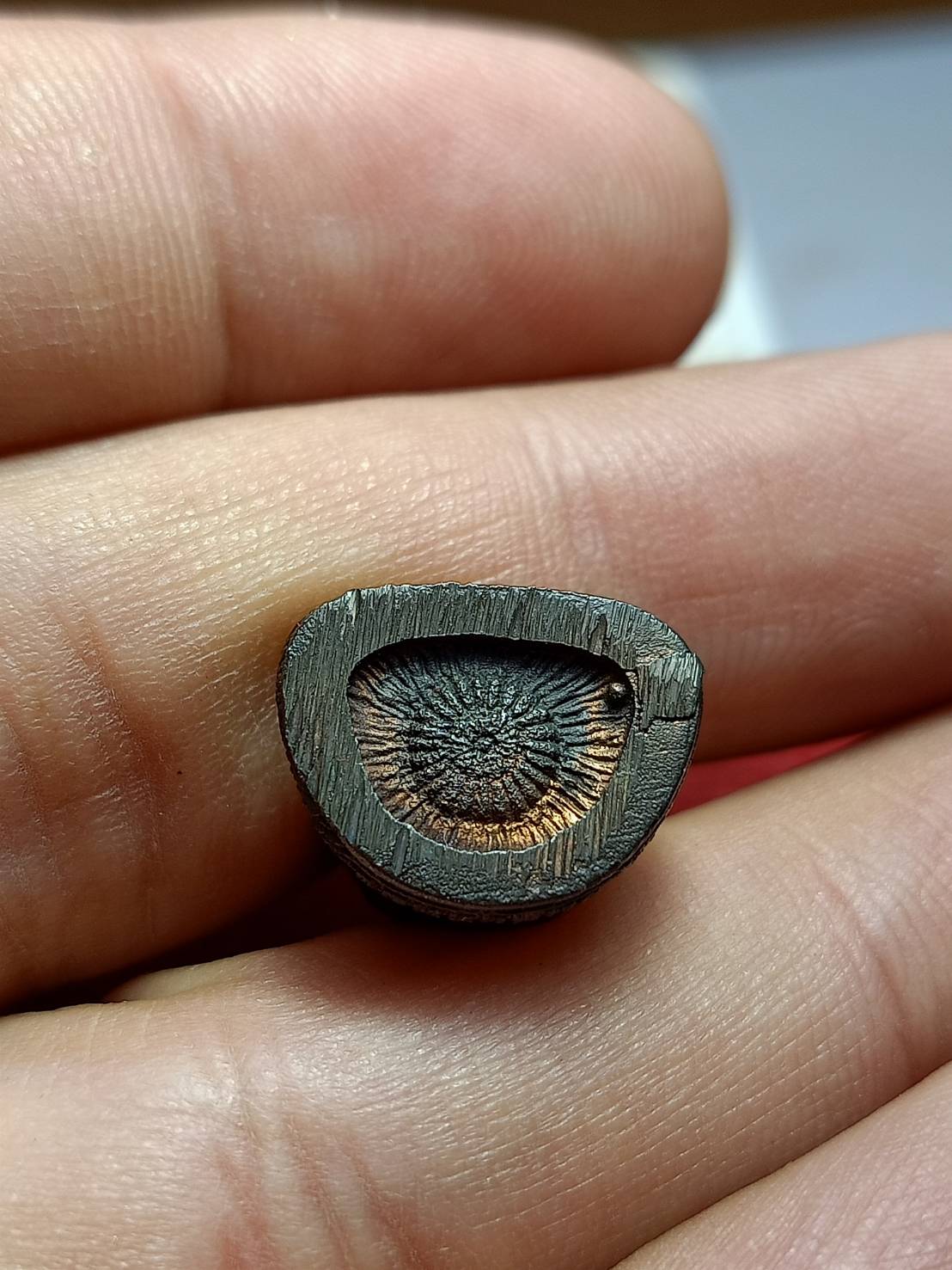 รูปหล่อหลวงพ่อแพ วัดพิกุลทอง จ.สิงห์บุรี (SKU-11550)