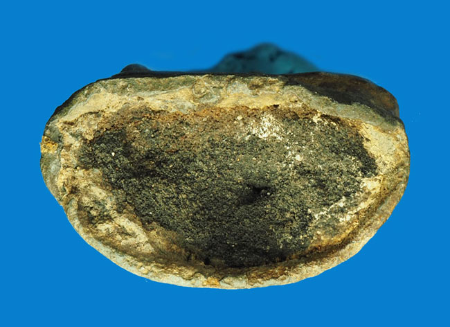 *31939 พระรัตนะหรืออยุธยาปลาย พิมพ์ทรงมารวิชัย ไม่ทราบเนื้อชินตะกั่วโบราณ หนักมาก หน้าตักกว้าง 1.2 นิ้ว 2