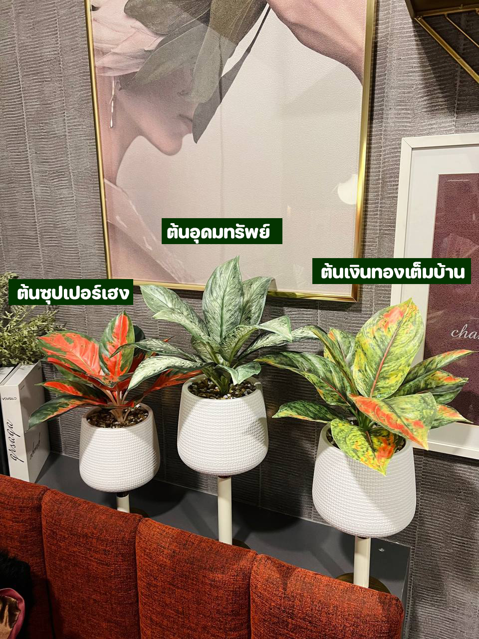 ต้นไม้ปลอม ชุด 3 กระถาง ซุปเปอร์เฮงปลอม อุดมทรัพย์ปลอม เงินทองเต็มบ้านปลอม