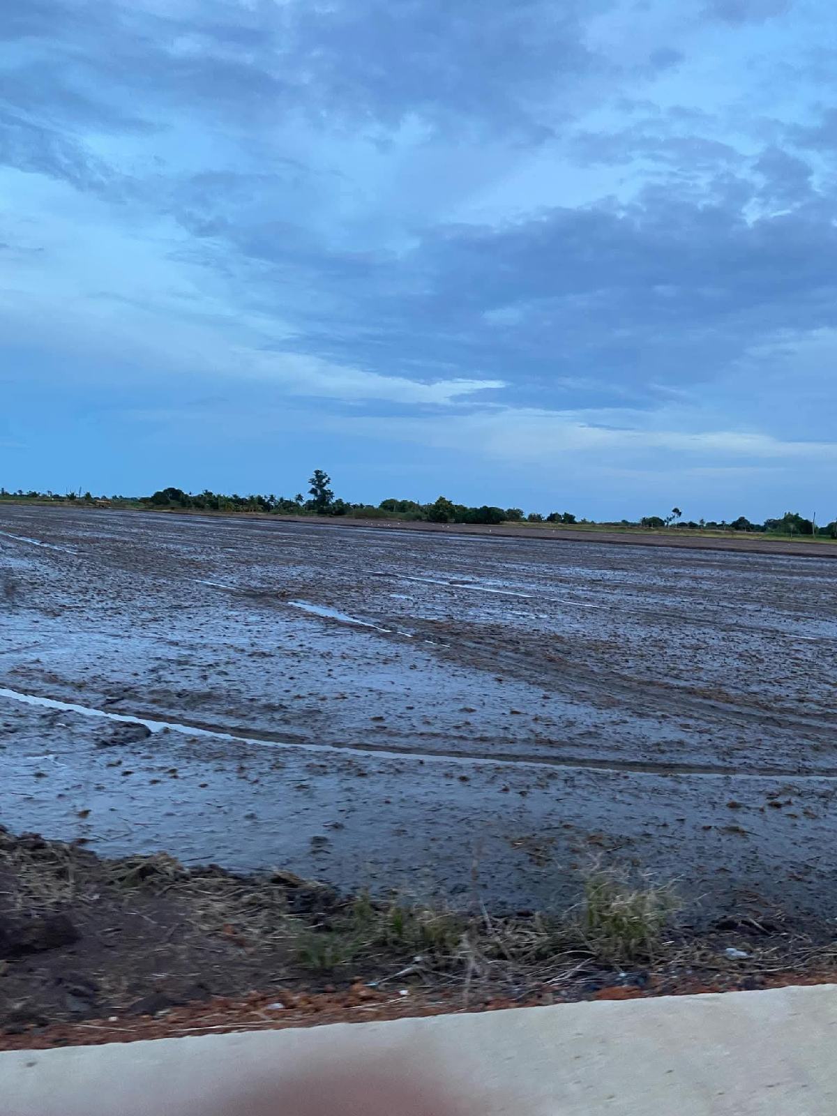 ขายที่ดิน 15 ไร่ ติดถนนคอนกรีต บางขนาก บางน้ำเปรี้ยว ฉะเชิงเทรา | เจ้าของขายเอง