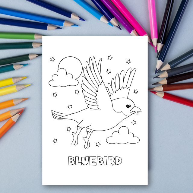 สมุดระบายสีสัตว์ป่า Woodland Animals Coloring Book