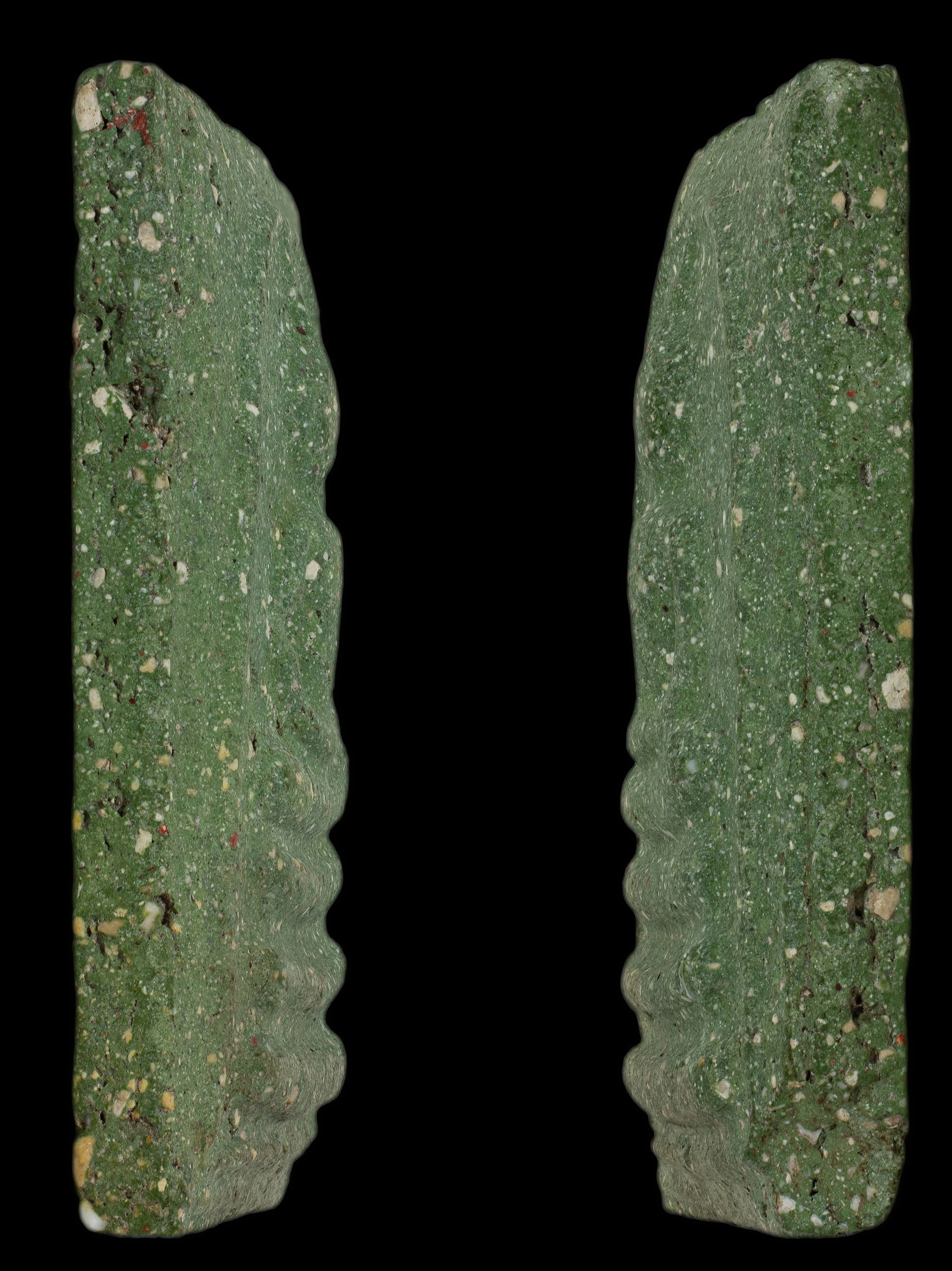 พระสมเด็จหลังเถาวัลย์ พิมพ์ใหญ่เศียรโต สีเขียวก้านมะลิ วังหน้า