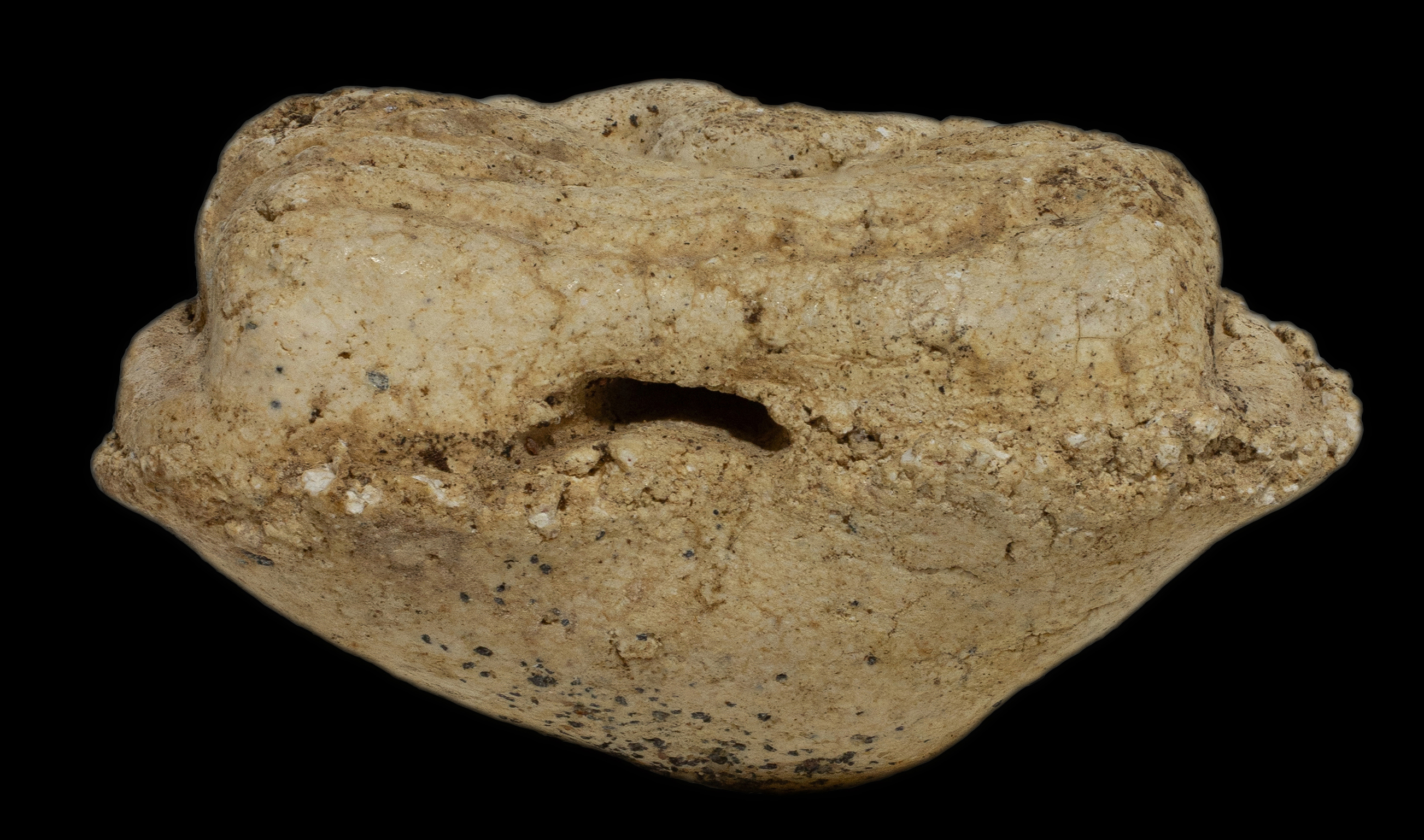 พระผงพิมพ์รูปเหมือนสมเด็จโต วัดปราสาทบุญญาวาส พิมพ์ใหญ่ เนื้อขาว ปี 2506