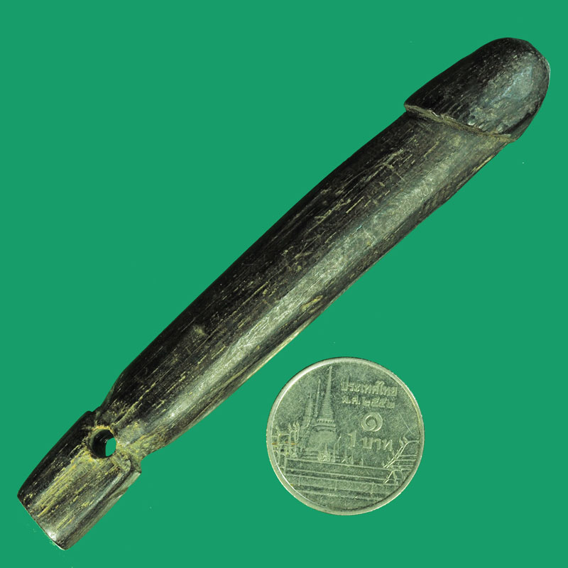 *33051 ปลัดขลิกไม้แกะเก่า ไม่ทราบที่ 12