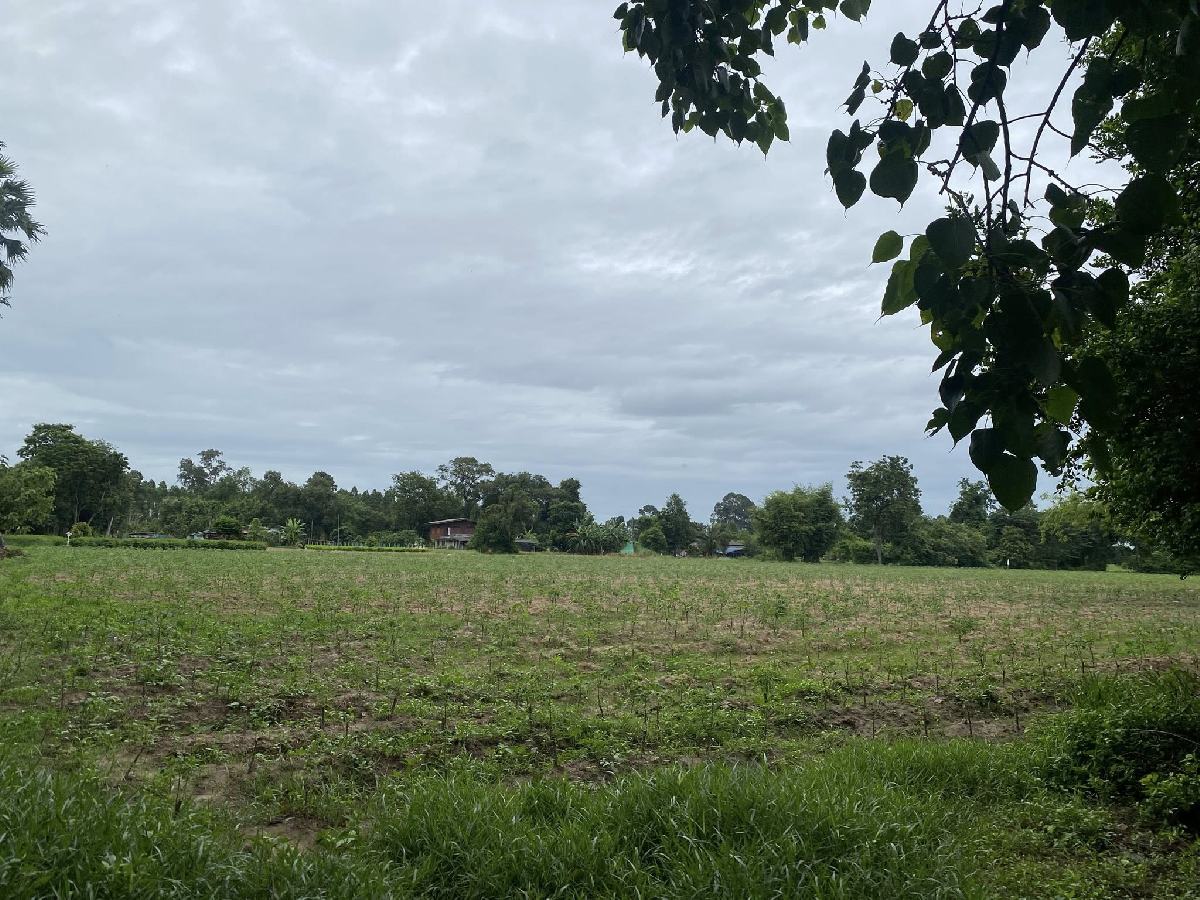 ขายที่ดิน 7 ไร่ พนมสารคาม ฉะเชิงเทรา | ใกล้วัดอ่าวสีเสียด | เจ้าของขายเอง