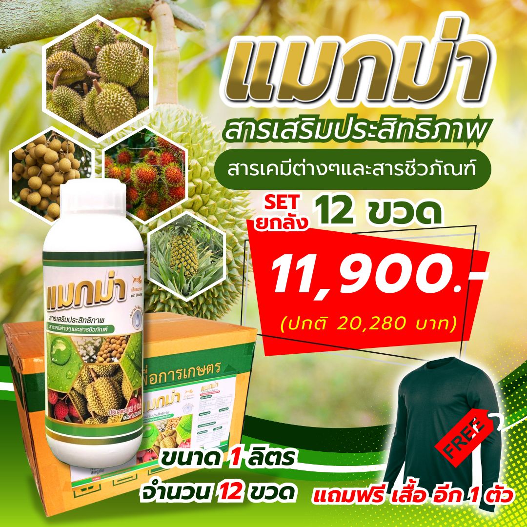 สารเสริมประสิทธิภาพ แมกม่า maxma 12ขวด