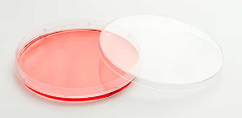 150460 Easydish 35x10mm,500/cs
