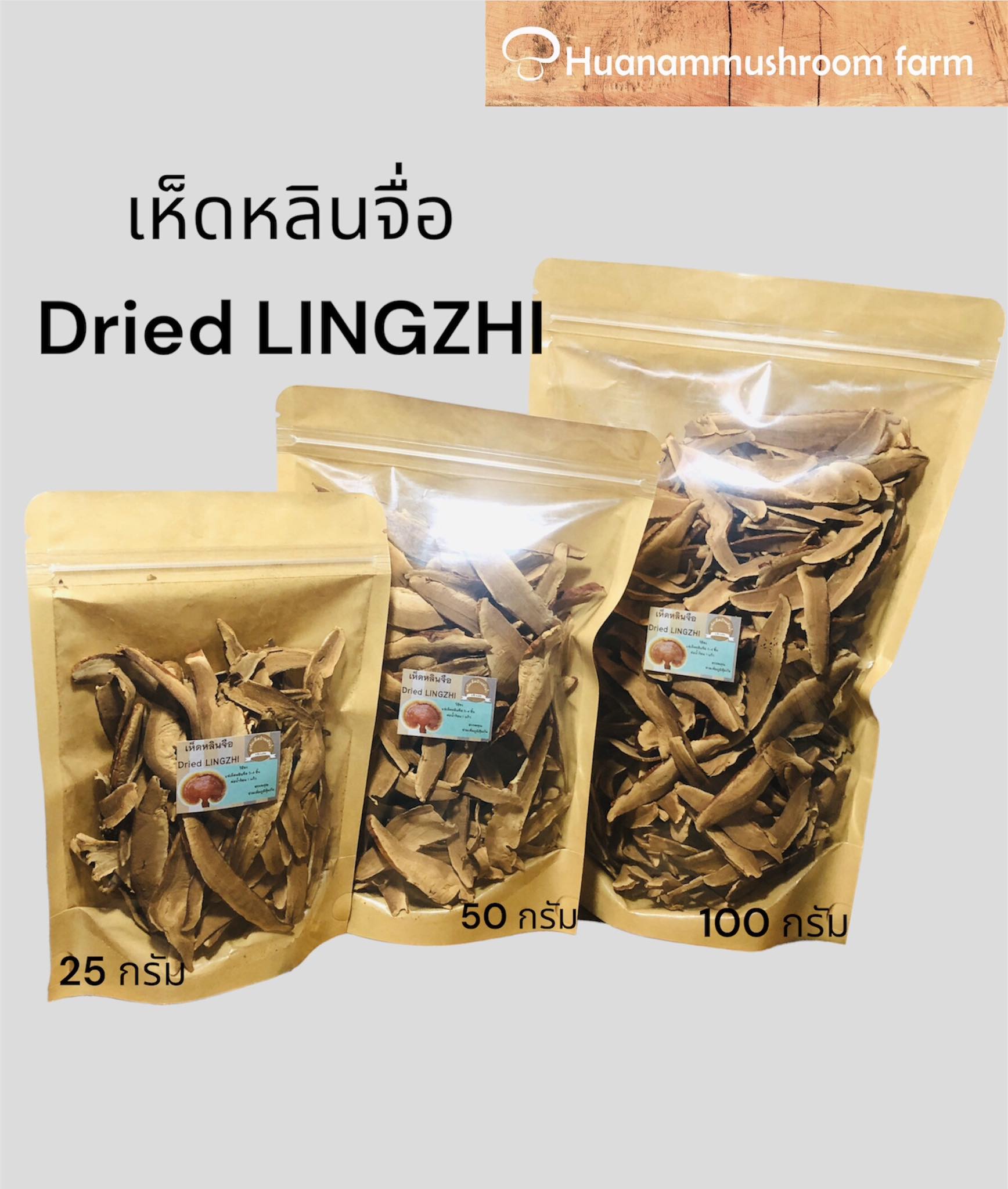 เห็ดหลินจือสายพันธุ์ของกรมวิชาการเกษตร G2 ฟาร์มเห็ดบ้านหัวน้ำ