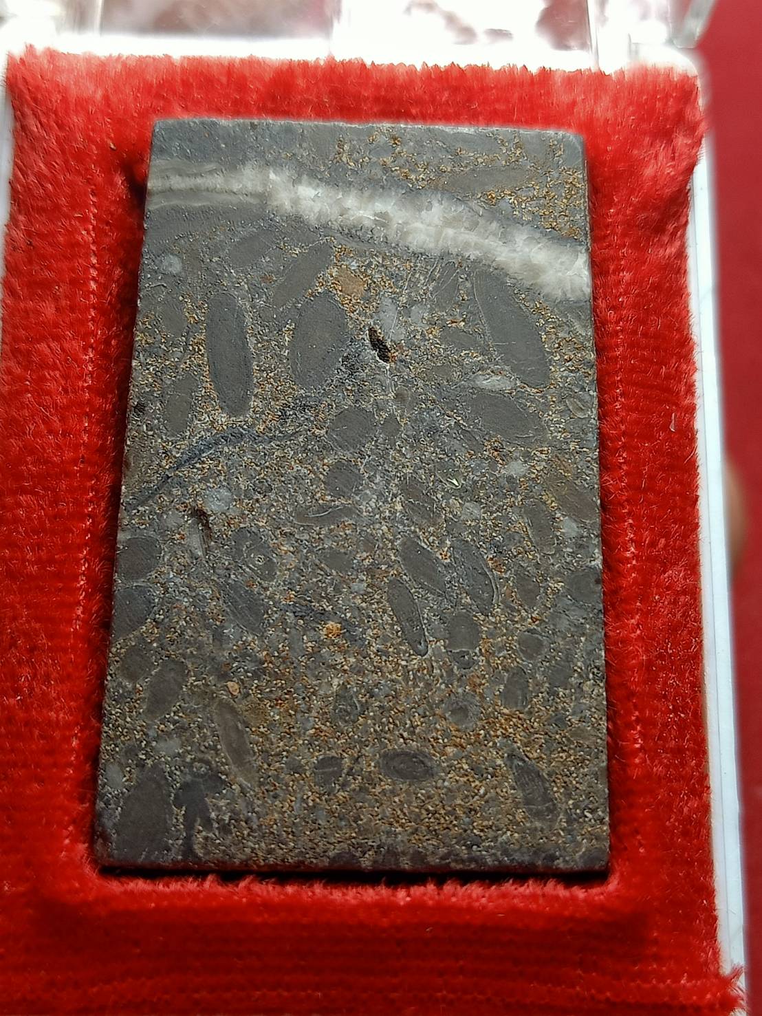 พระสมเด็จข้าวสารหิน รุ่นหนึ่งศตวรรษ พิมพ์ใหญ่ หลวงปู่บุดดา ถาวโร วัดกลางเจริญสุข จ.สิงห์บุรี พร้อมกล่อง (SKU-12830)