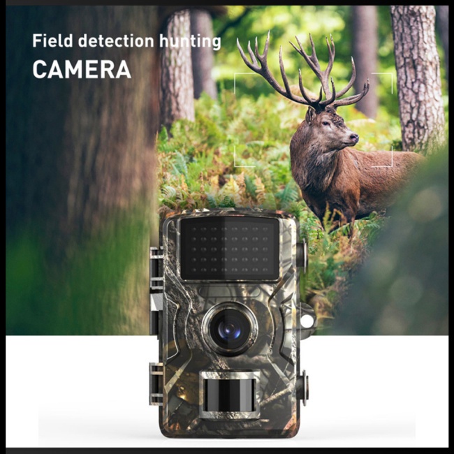 DL001 กล้องล่าสัตว์ 16mp Hd 1080p พร้อมเซนเซอร์ตรวจจับการเคลื่อนไหว 12 เมตร Ip66