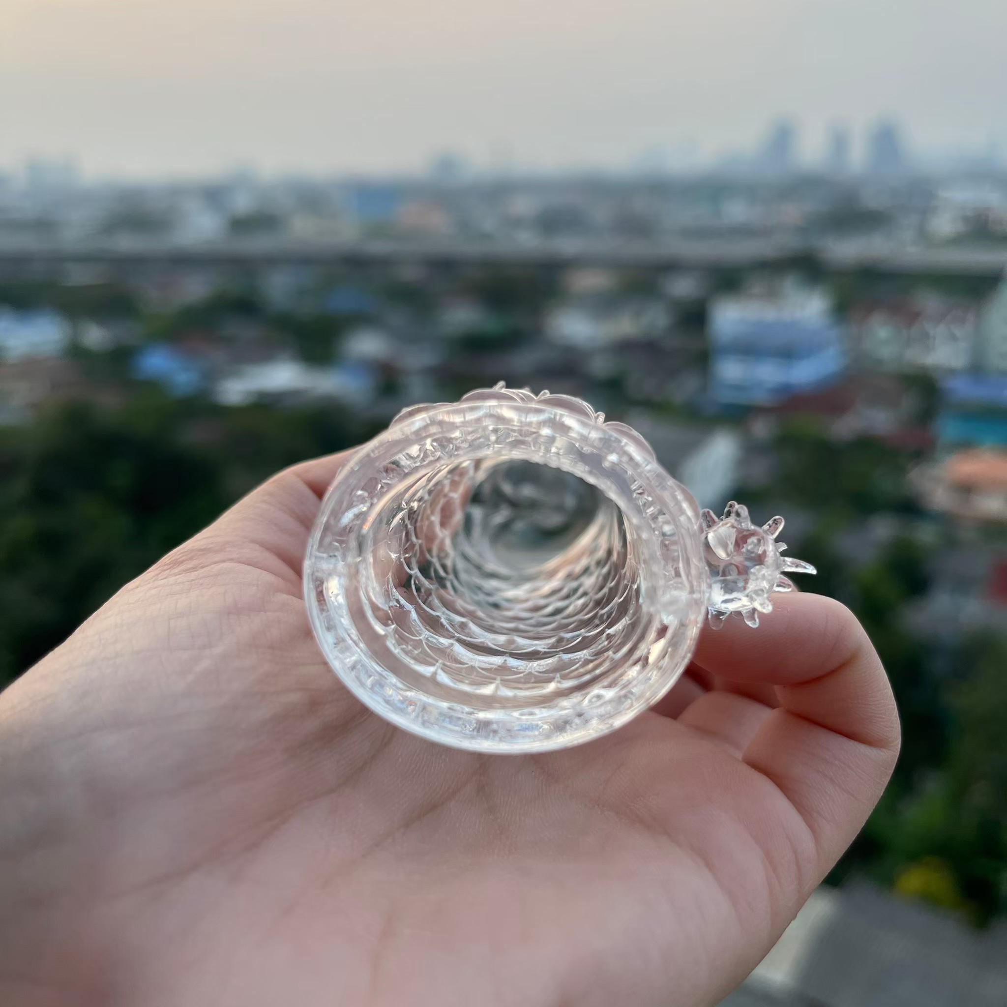 ปลอกเกร็ดมังกร