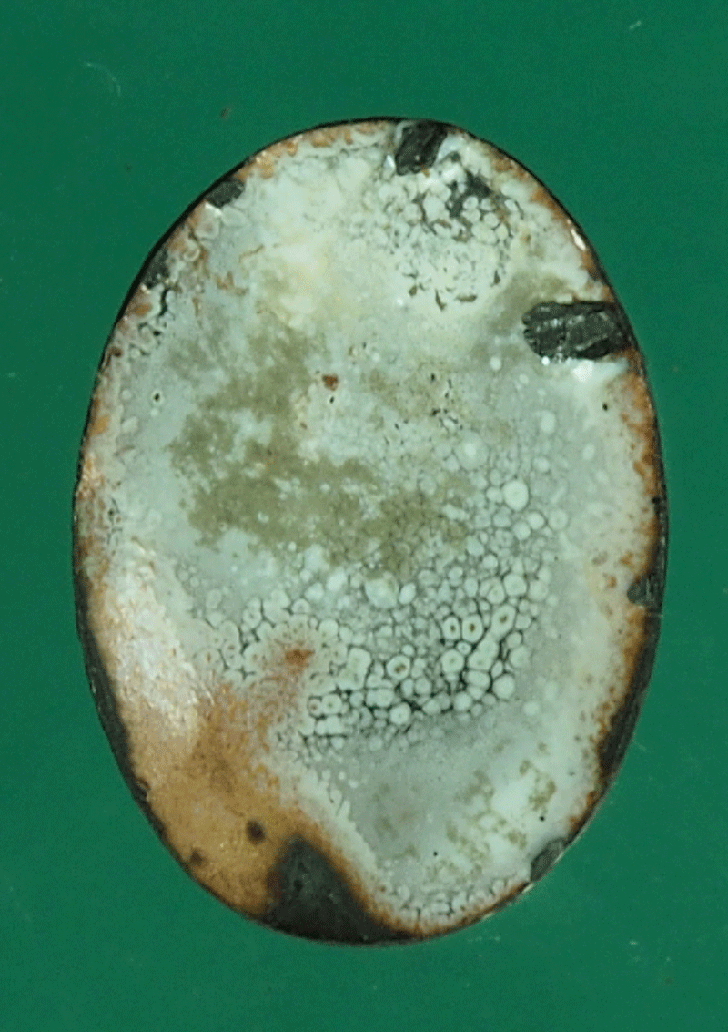 *27525 ล็อกเก็ต หลวงพ่อแช่ม วัดฉลอง ภูเก็ต 59