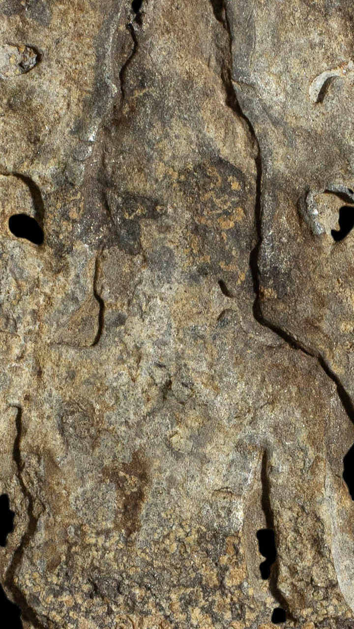 พระปรุหนัง พิมพ์บัวเบ็ด เนื้อชินเงิน จังหวัดอยุธยา