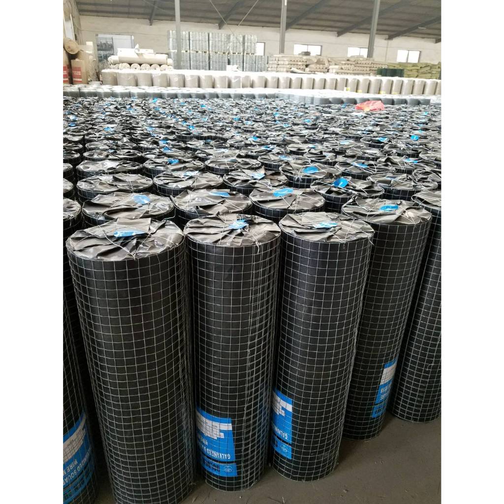 GOLDEN CUP ลวดตาข่ายสี่เหลี่ยม ขนาดกว้าง 5 ฟุต (ราคารวมแวท) มีขนาด 1/2" 3/4" 1" ยาว 30 เมตร