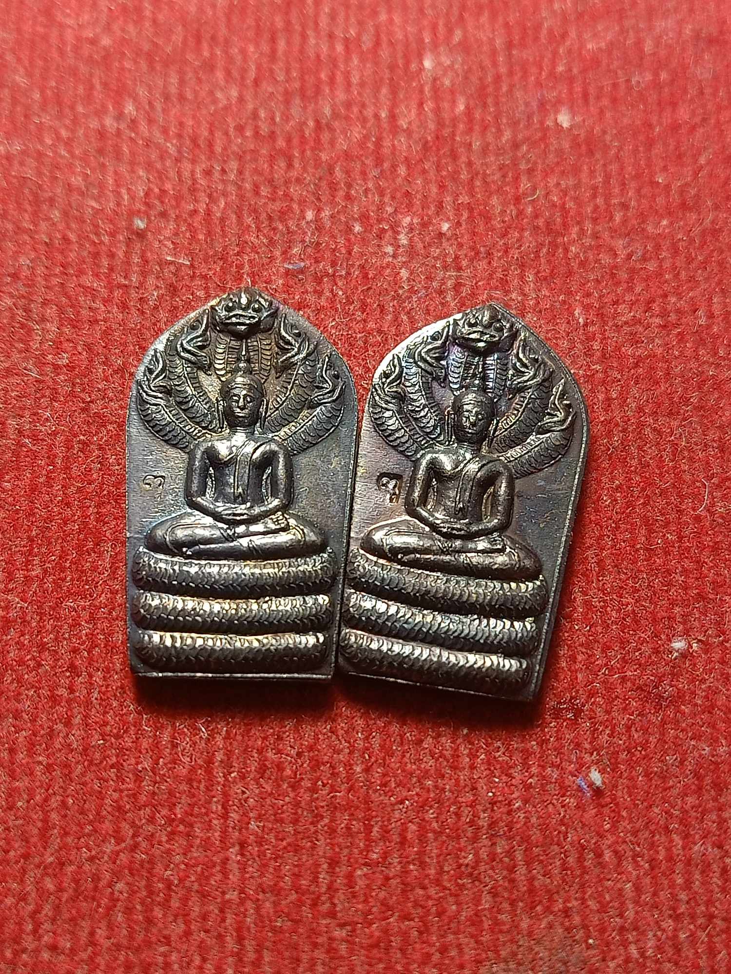 เหรียญปรกใบมะขามหลวงพ่อเปลี้ย วัดชอนสารเดช จ.ลพบุรี (SKU-04659)