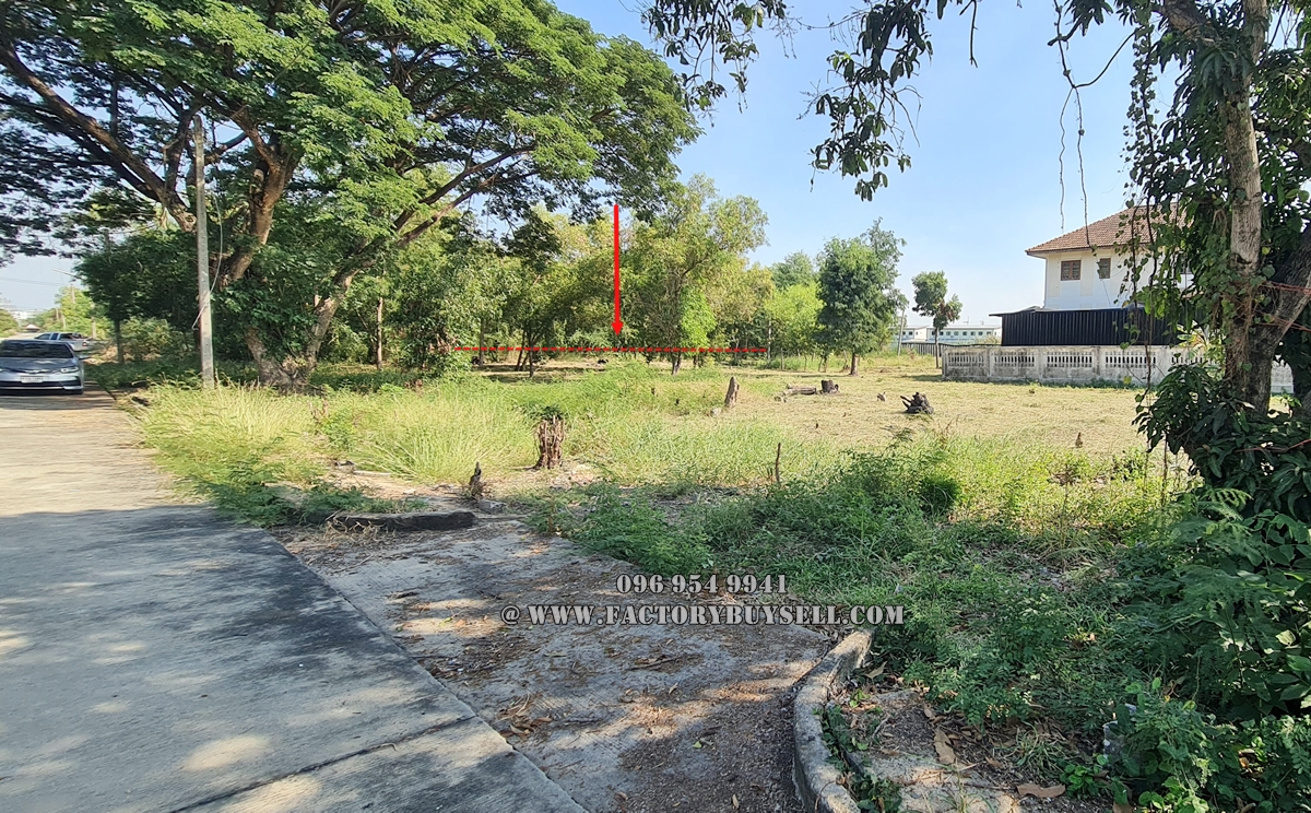 ขายที่ดิน สามโคก ปทุมธานี