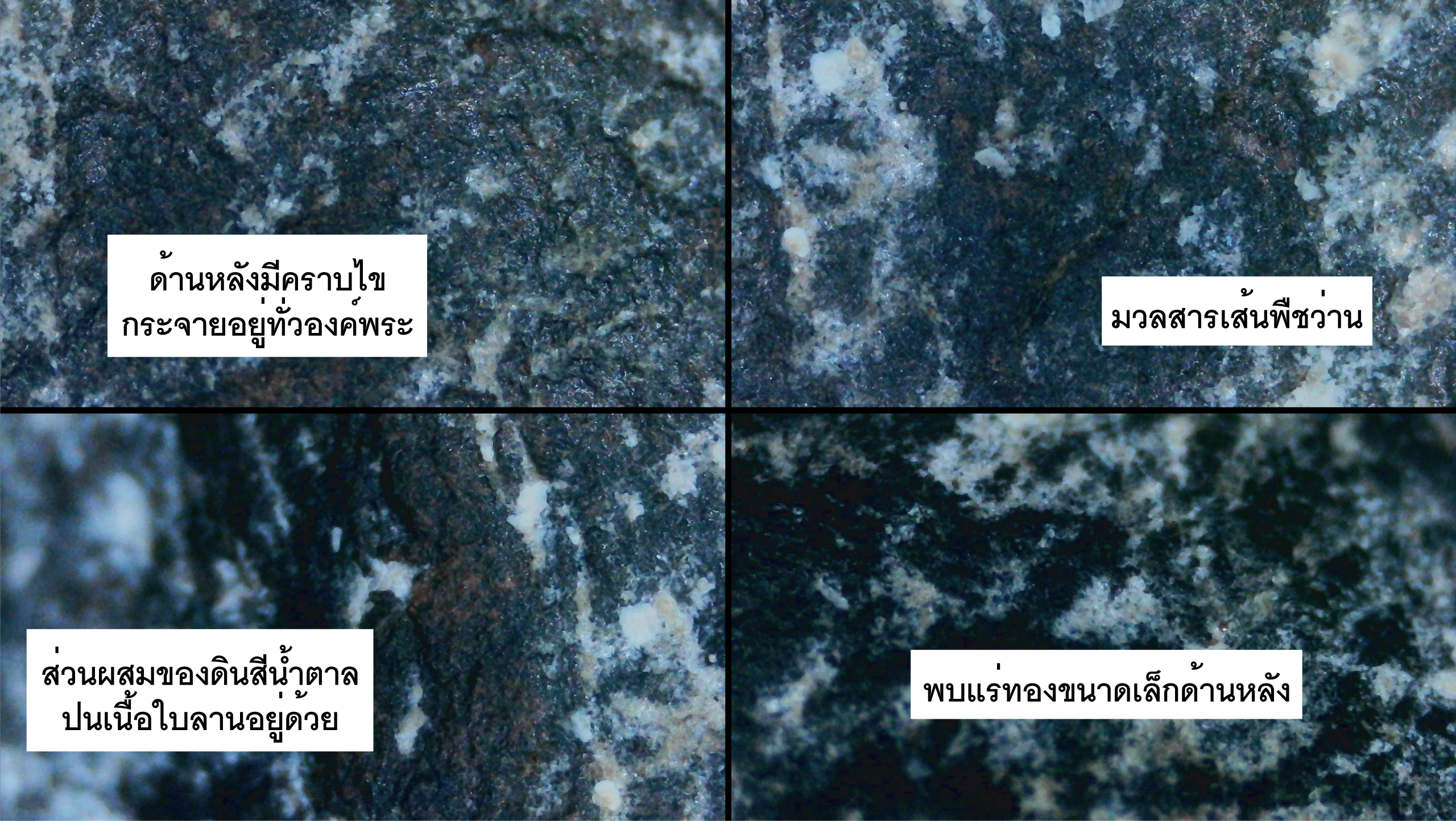 พระรอดหลวงพ่อกวย เนื้อใบลานผสมผงน้ำมัน หลวงพ่อกวย วัดโฆสิตาราม ชัยนาท